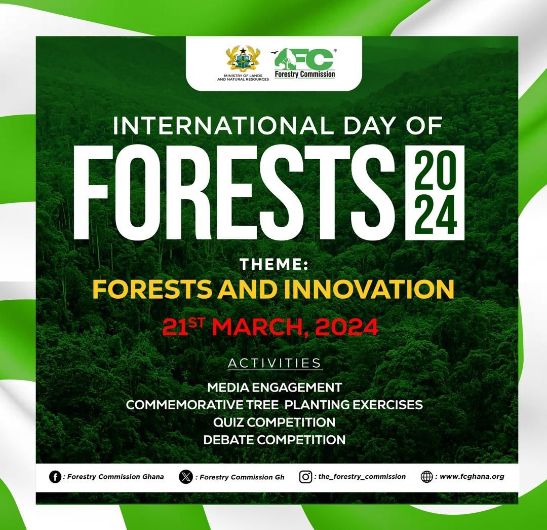 international day of the forest – Forestry Commission